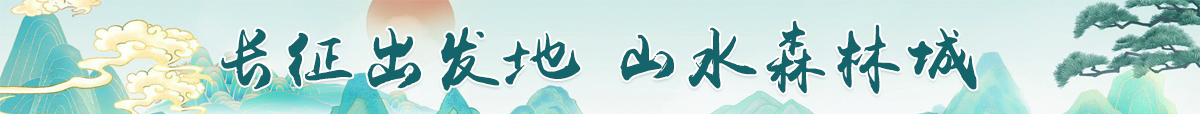 森林城